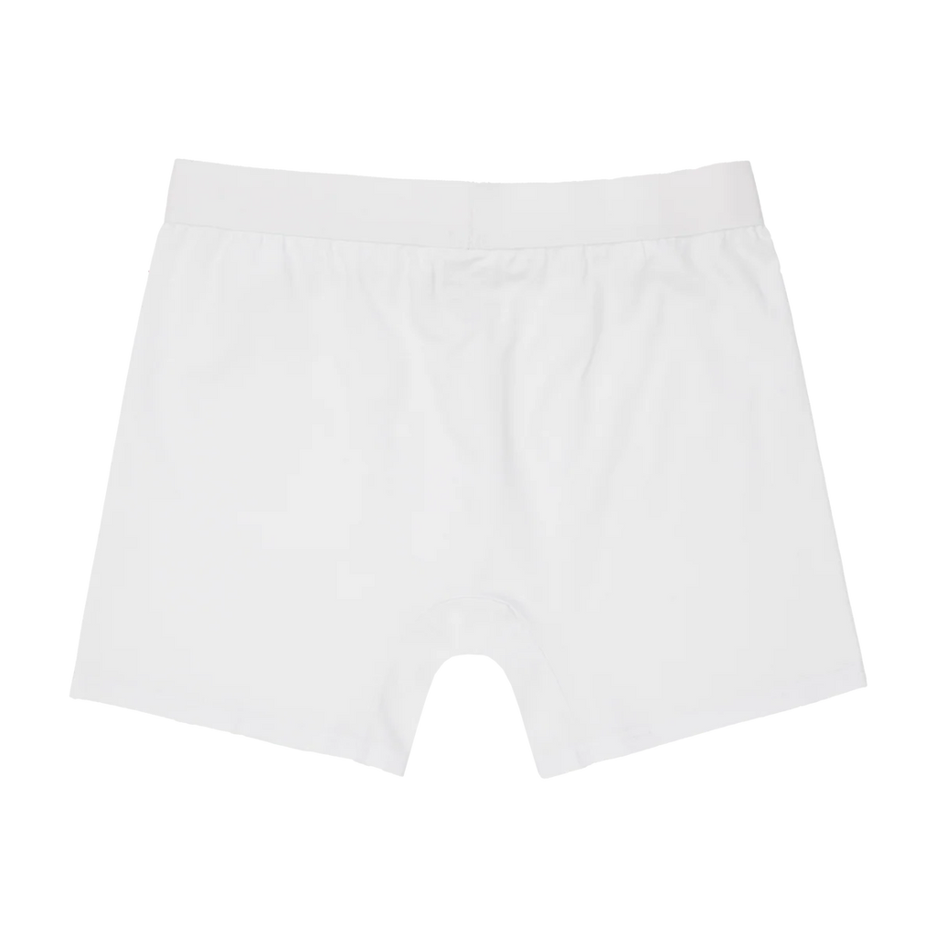 SKYLRK BOXER BRIEF 3-PACK GHOST