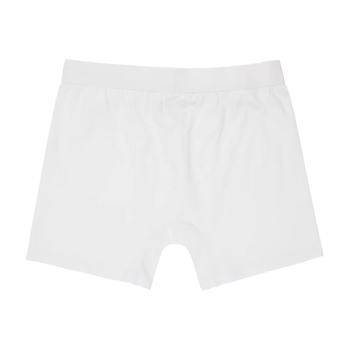 SKYLRK BOXER BRIEF 3-PACK GHOST