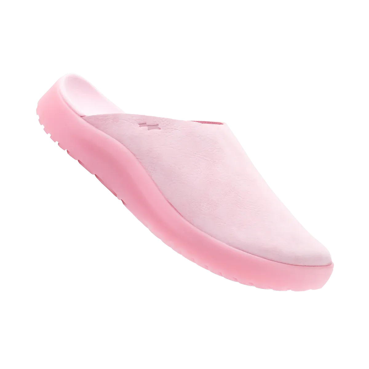SKYLRK SUNKEN MULE CORAL