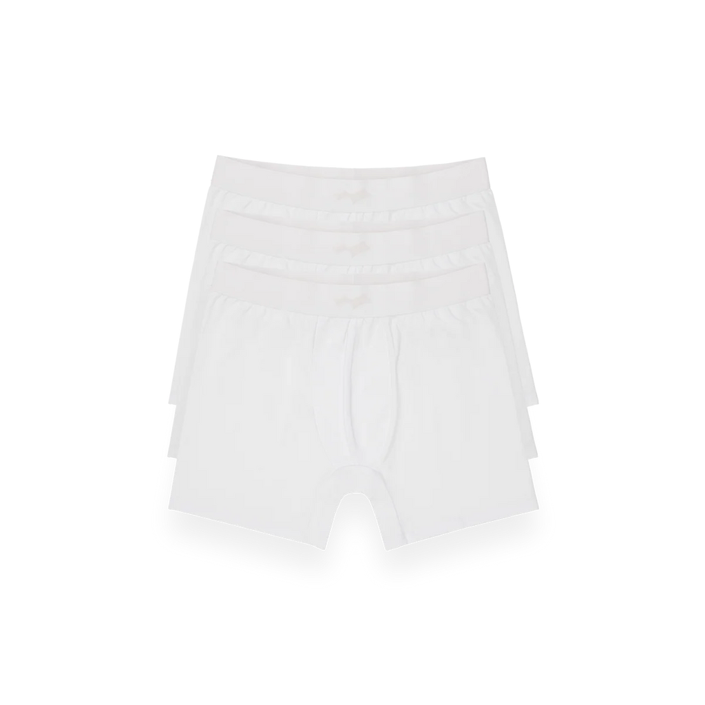 SKYLRK BOXER BRIEF 3-PACK GHOST