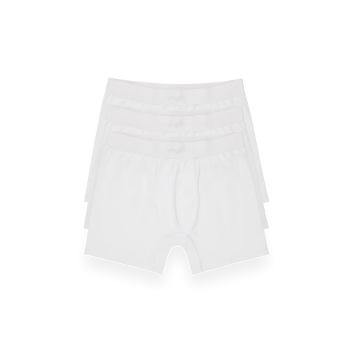SKYLRK BOXER BRIEF 3-PACK GHOST
